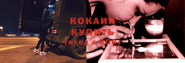 дурь Бородино