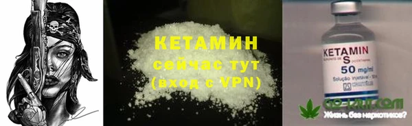 сатива Арсеньев