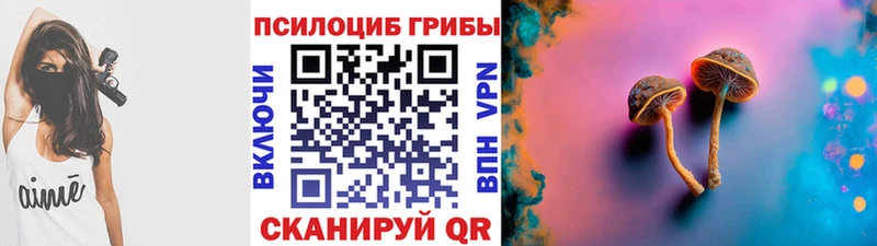 Галлюциногенные грибы Psilocybine cubensis  Жирновск 